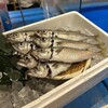 釣宿酒場マヅメ - 魚
