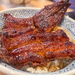 吉田屋 美濃錦 - 