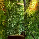 キャンプ酒場 TOKOCK - 