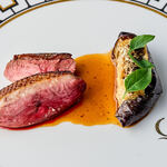 クイントカント - 