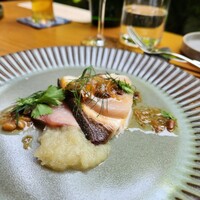 KOSA - 