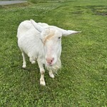 レークヒル・ファーム - 