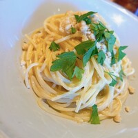 THE RIGOLETTO -  THE RIGOLETTO -