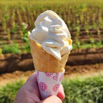 ユートピアファーム宮古島 - 