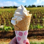 ユートピアファーム宮古島 - 