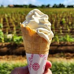 ユートピアファーム宮古島 - 