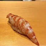 鮨 はしもと - 車海老