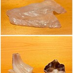 鮨 はしもと - お刺身3種類
      写真上：マコガレイ　写真左：とり貝
      写真右：ミル貝 三重の天然物