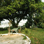 プラウマンズ ランチ ベーカリー - 