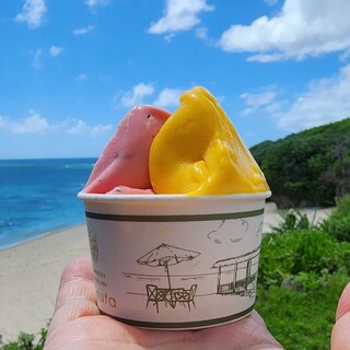 Ikemajima gelato cafe Ninufa_0