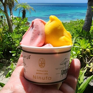 Ikemajima gelato cafe Ninufa_1