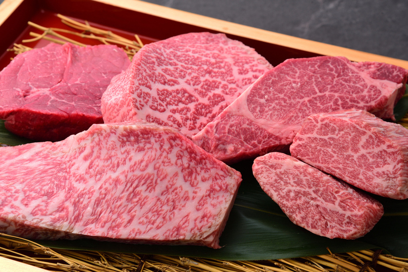 The way of WAGYU