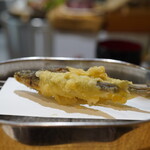 天ぷら 正心庵 - 