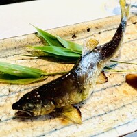 祇をん 豆寅 祇園店 - 