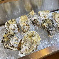 四ツ橋・新町 牡蠣と肉たらしビストロAKIRA - 