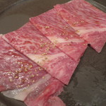 SATOブリアン - リブシン