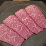 SATOブリアン - シンシン