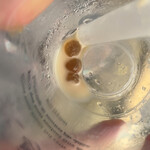 岡山夢菓匠 敷島堂 さんすて岡山店 - 