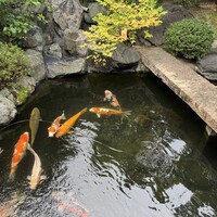 炭焼うな富士 白壁別邸 -  炭焼うな富士 白壁別邸 -