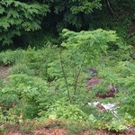 六合 尻焼温泉 星ヶ岡山荘 - 