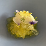 naturam kazuya sugiura - 