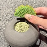 アニエルドール - 