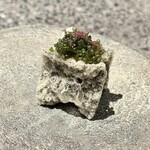 アニエルドール - 