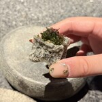 アニエルドール - 