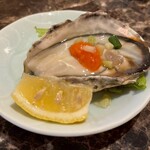 旨いマグロと海鮮居酒屋 漁火 - 