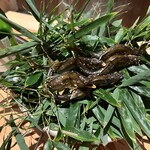 御料理ふじ居 - 