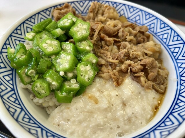 Yoshinoya Odori Nishi 10 Chome Ten - Nishi Juitchome/Gyu-don