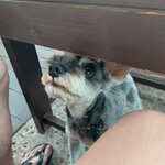リトル ランカ - 