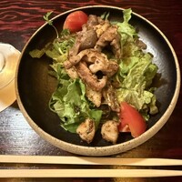 鳥ばか一代 - 