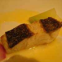 エル ブランシュ - 漁港直送、本日の魚料理　その日の調理法とソースで。