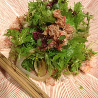 やまと 楽 - 