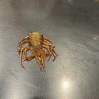 ステーキハウス松波 - 