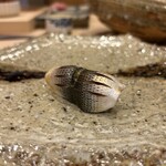 銀座 鮨 しょう介 - 