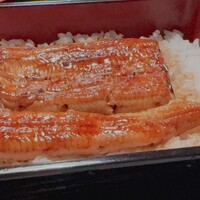うなぎ秋本 -  うなぎ秋本 -