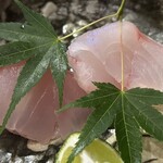 新潟浦島 小平 - 