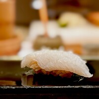 札幌 鮨 よこ田 - いっけん、イカのようですが、実はミズダコ。 北海道の鮨屋、ミズダコよく使いますね。 それにしてもタコの握りは珍しい。 旨いけどね。 いや、ここ、シャリが悪くないですよ。