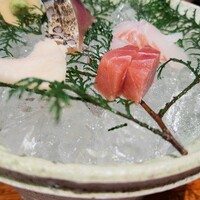 魚坐 - 