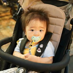 讃岐うどん いわい - 