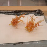 天一 - 車海老頭