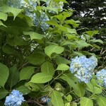 ギャラリー イヌカイ - 