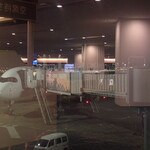 ダイヤモンド・プレミアラウンジ - JAL526便