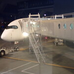 ダイヤモンド・プレミアラウンジ - JAL526便