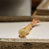 日本橋 蕎ノ字 - 