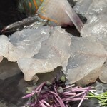 寿司と干物 井 - 