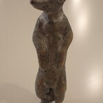 トーコーキッチン - ミーアキャット