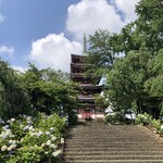 ドトールコーヒーショップ - 